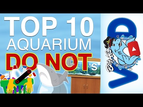 Aquarium do nots